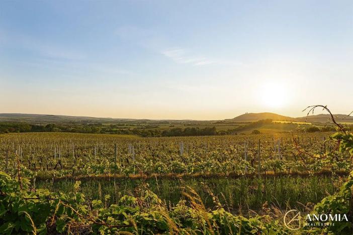 Prodej ubytování, Lednice, Nejdecká, 594 m2