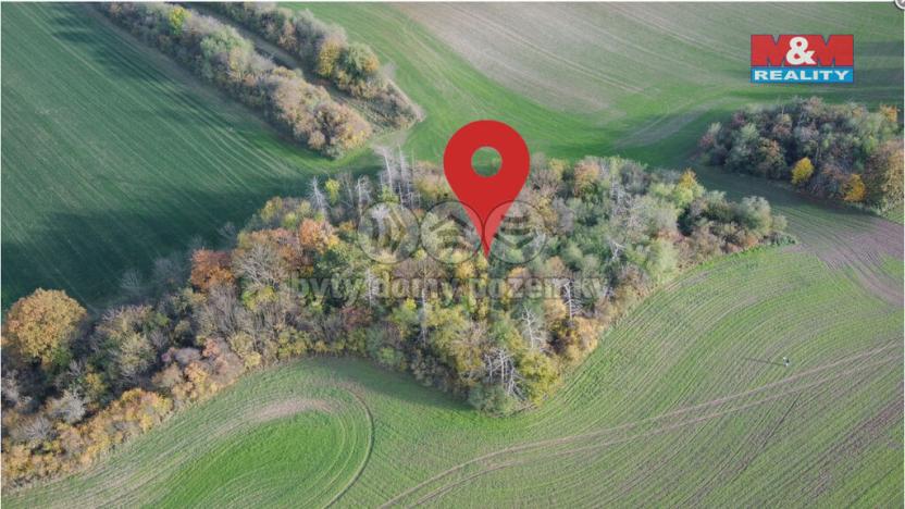 Prodej lesa, Kočí, 5803 m2