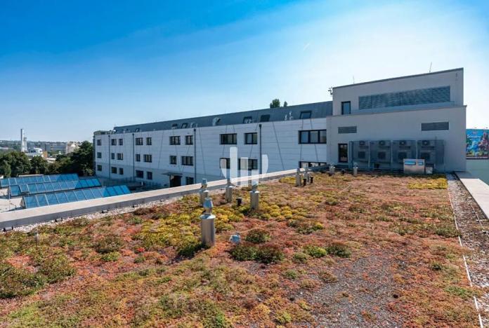 Pronájem kanceláře, Brno, Svatopetrská, 500 m2