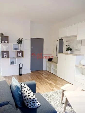 Pronájem bytu 1+kk, Praha - Karlín, Vítkova, 39 m2