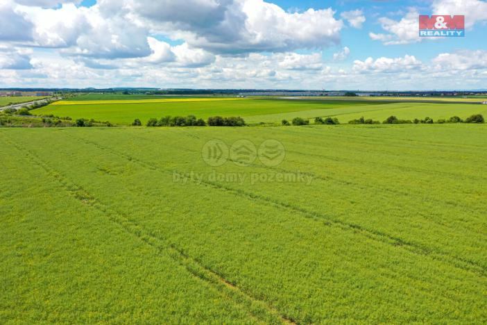 Prodej pole, Dobrovíz, 5578 m2