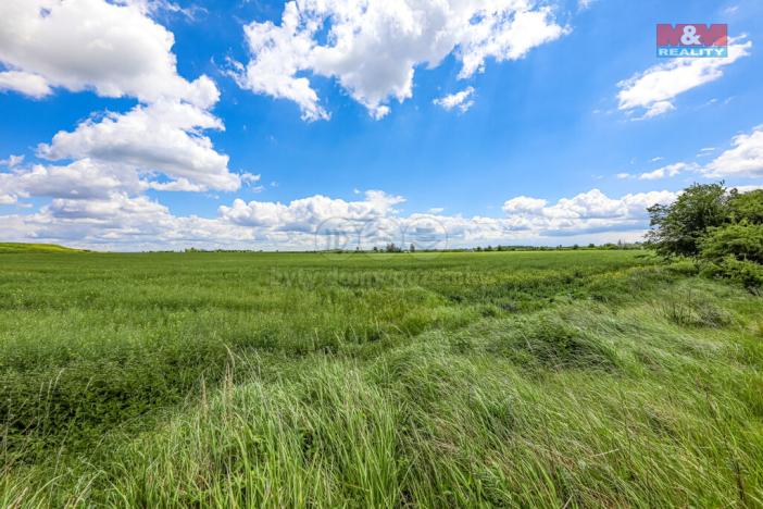 Prodej pole, Dobrovíz, 5578 m2