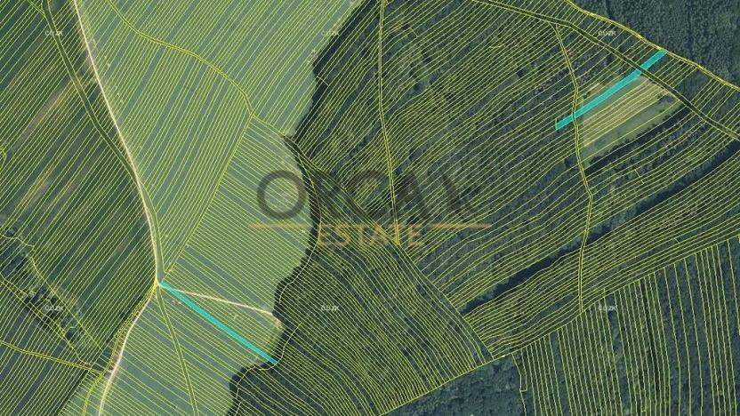 Prodej pole, Mistřice, 6356 m2