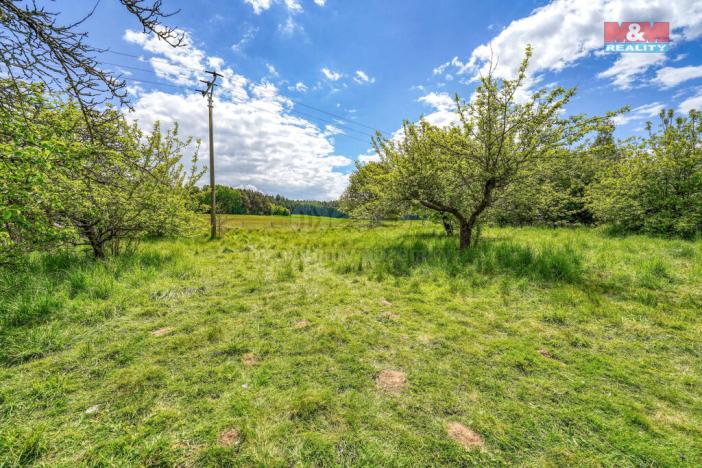 Prodej chalupy, Stráž - Dehetná, 174 m2