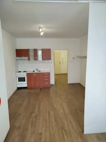 Pronájem bytu 1+kk, Pardubice, nábřeží Závodu míru, 38 m2