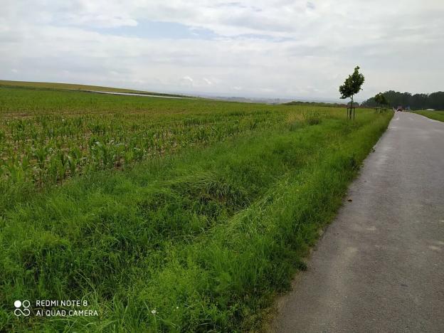 Prodej pozemku pro bydlení, Dolní Ředice, 12434 m2