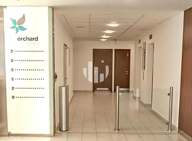 Pronájem kanceláře, Ostrava, Hornopolní, 142 m2