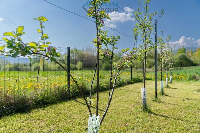 Prodej pozemku pro bydlení, Lhenice, 1092 m2