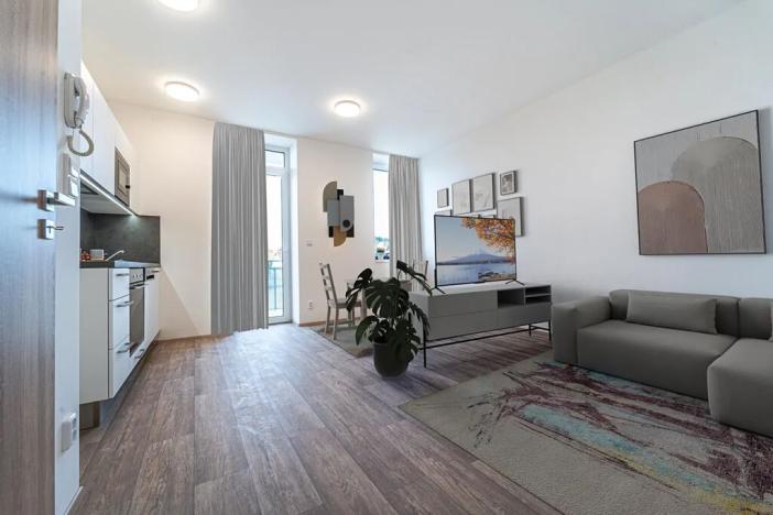 Pronájem bytu 1+kk, Mikulov, 33 m2