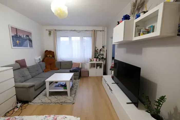 Pronájem bytu 1+1, Uherský Brod, Družstevní, 38 m2