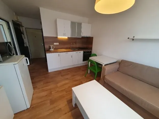 Pronájem bytu 1+1, Jihlava, Březinova, 42 m2