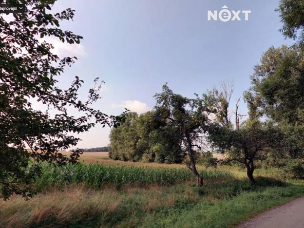 Prodej pole, Horní Nětčice, 6011 m2