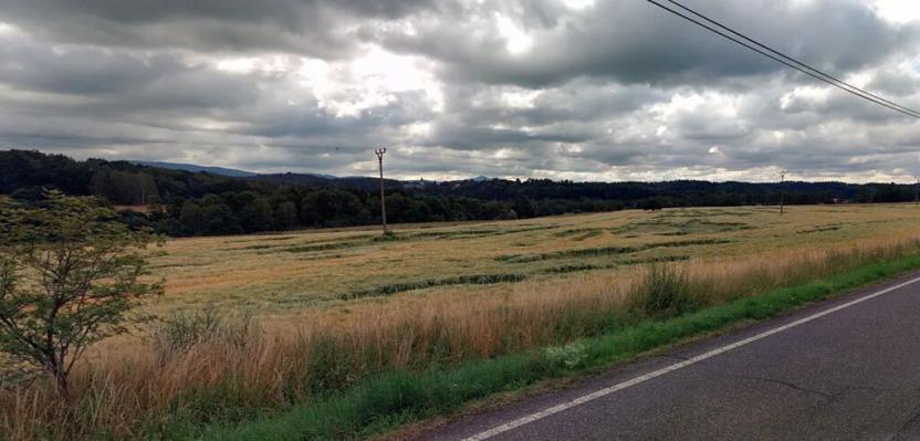 Prodej pole, Jablonné v Podještědí, 18441 m2