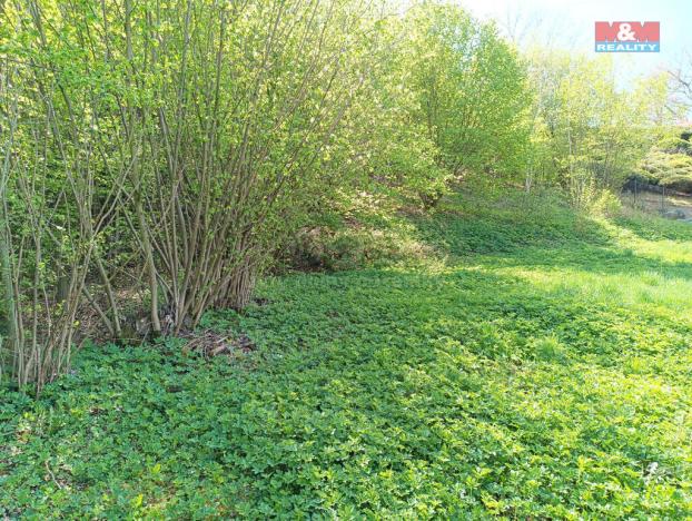 Prodej zahrady, Rychnov nad Kněžnou, 2141 m2