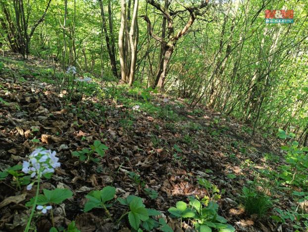 Prodej zahrady, Rychnov nad Kněžnou, 2141 m2