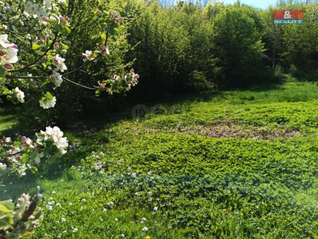 Prodej zahrady, Rychnov nad Kněžnou, 2141 m2