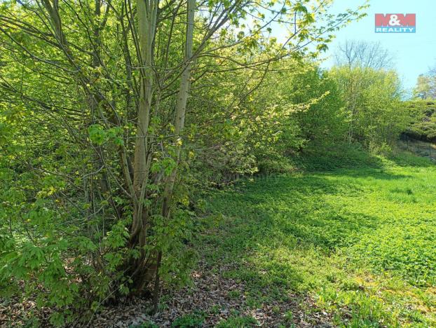 Prodej zahrady, Rychnov nad Kněžnou, 2141 m2