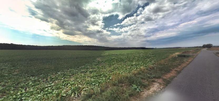 Prodej pole, Běchary, 12202 m2