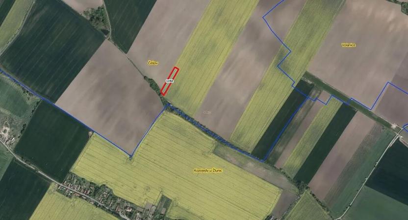 Prodej pole, Češov, 4305 m2