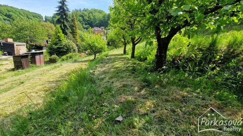 Prodej chaty, Albrechtice, 381 m2