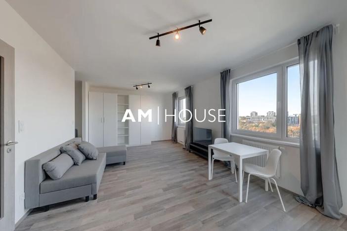 Pronájem bytu 1+kk, Praha - Strašnice, Zvěřinova, 48 m2