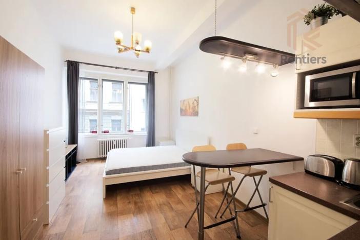 Pronájem bytu 1+kk, Praha - Nové Město, Ve Smečkách, 23 m2