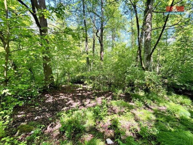 Prodej rybníku, Skalice u České Lípy, 3255 m2