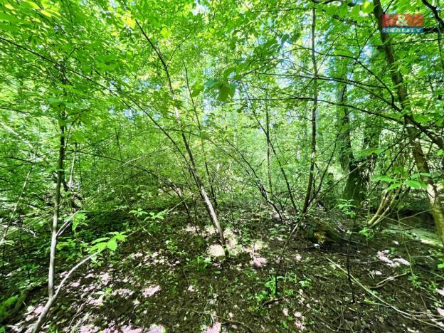 Prodej rybníku, Skalice u České Lípy, 3255 m2