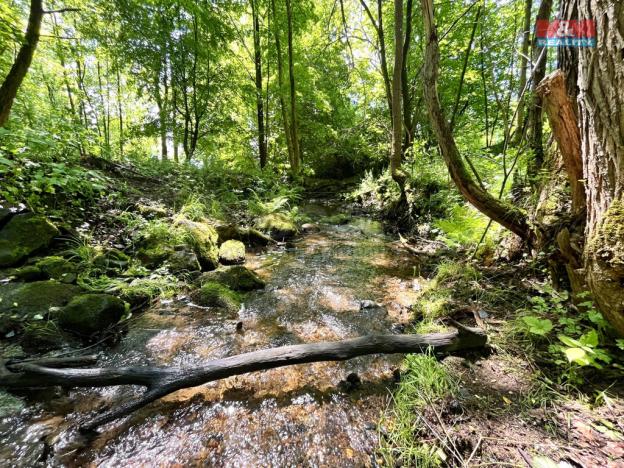 Prodej rybníku, Skalice u České Lípy, 3255 m2