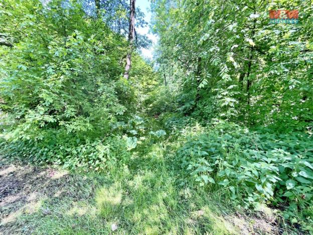 Prodej rybníku, Skalice u České Lípy, 3255 m2