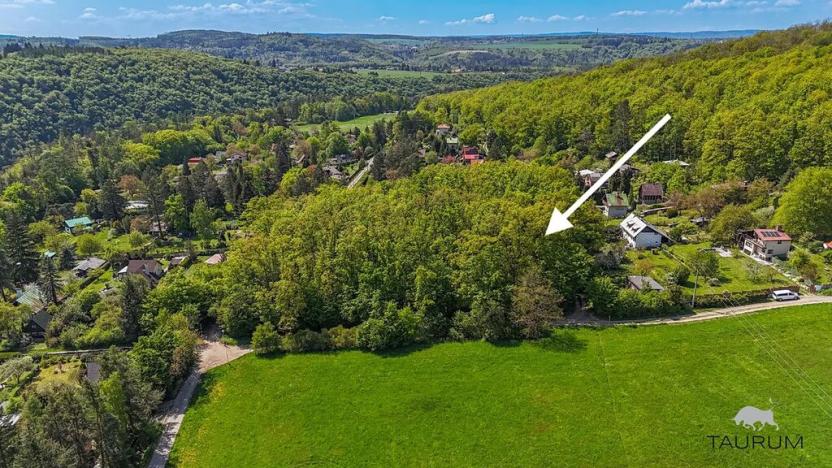 Prodej lesa, Petrov, 6490 m2