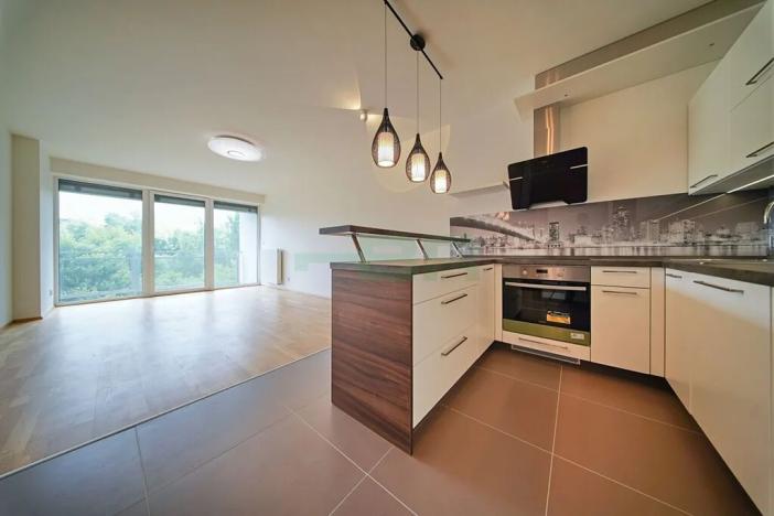 Pronájem bytu 3+kk, Plzeň, Lidická, 97 m2