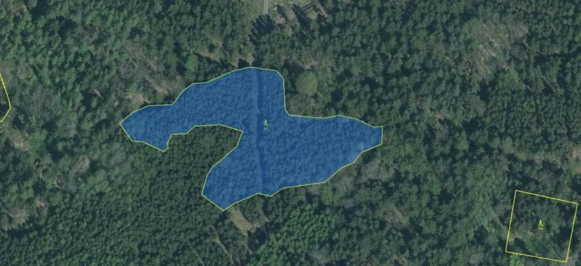 Prodej podílu lesa, Nové Mitrovice, 1057 m2