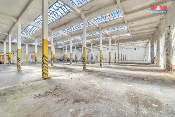 Prodej obchodního prostoru, Červená Voda, 1500 m2