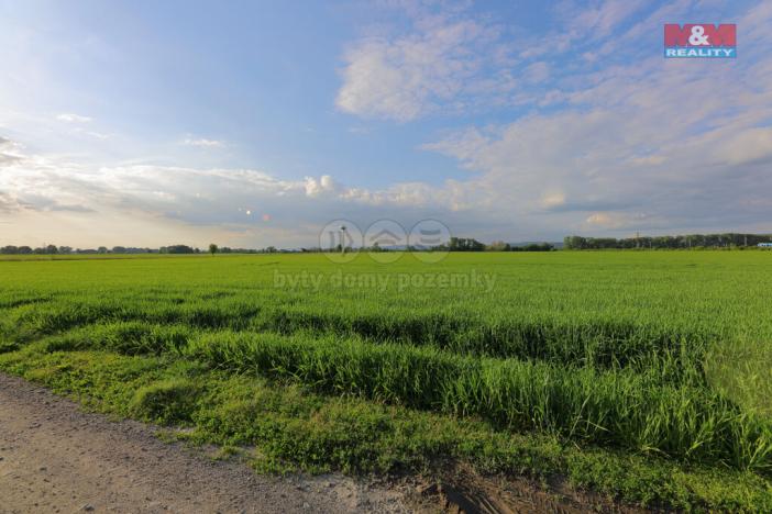 Prodej pozemku pro bydlení, Hlušovice, 5290 m2