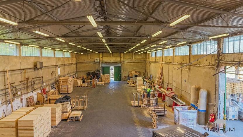 Prodej výrobních prostor, Vojkovice, 12027 m2