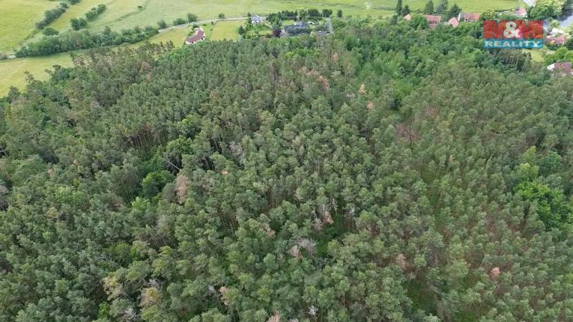 Prodej lesa, Chotilsko - Prostřední Lhota, 3372 m2