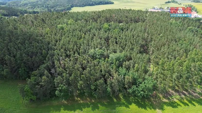 Prodej lesa, Chotilsko - Prostřední Lhota, 3372 m2