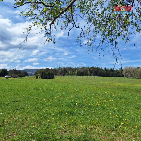 Prodej louky, Zdíkov - Masákova Lhota, 5959 m2