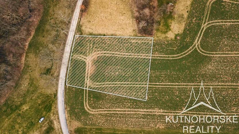 Prodej pozemku pro bydlení, Rašovice, 2662 m2