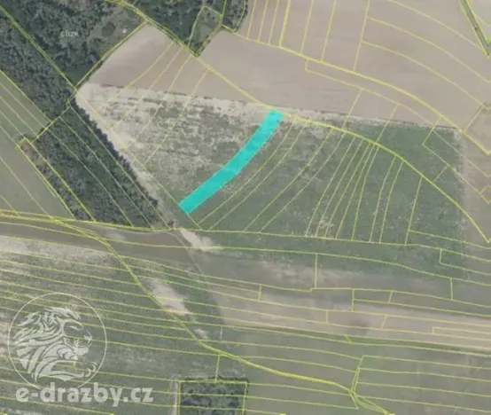 Dražba pole, Týnec nad Labem, 6100 m2