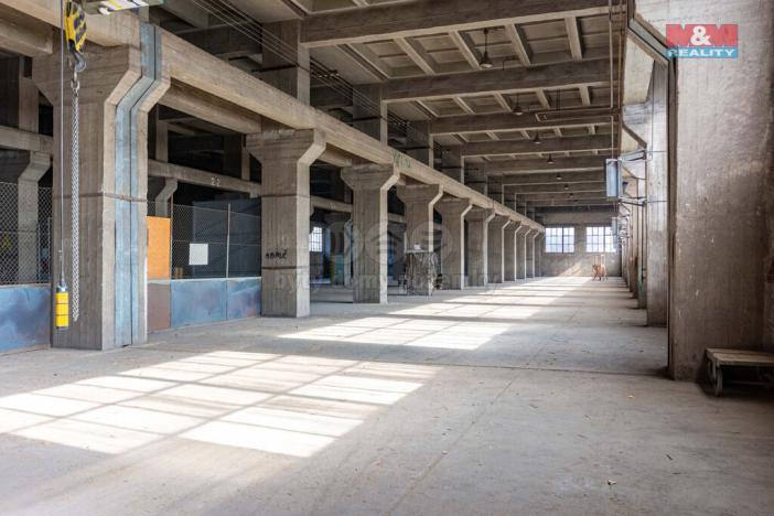 Pronájem výrobních prostor, Ostrava, 12000 m2