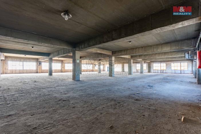 Pronájem výrobních prostor, Ostrava, 12000 m2