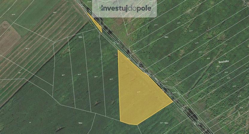 Prodej pole, Štítov, 11770 m2