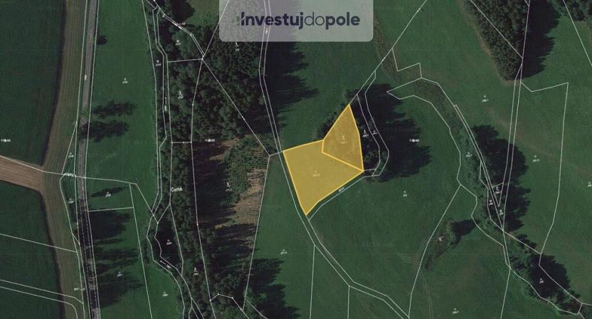 Prodej louky, Stará Paka - Krsmol, 4007 m2