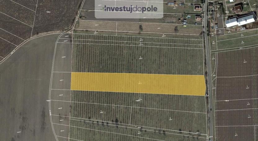 Prodej pozemku, Liběšice - Soběnice, 6199 m2