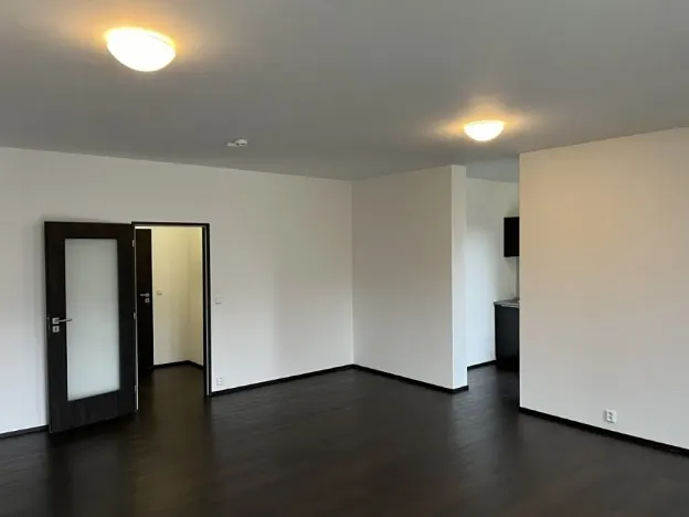 Pronájem bytu 1+kk, Brno, Hlinky, 49 m2