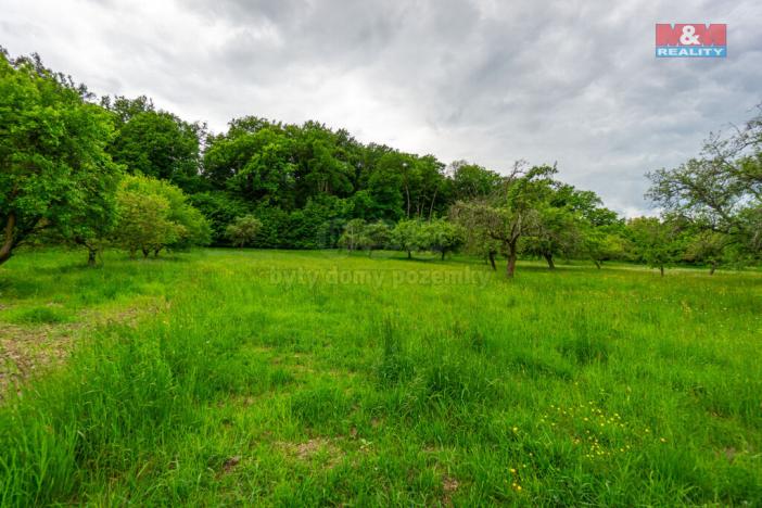 Prodej pozemku pro bydlení, Brloh, 4508 m2