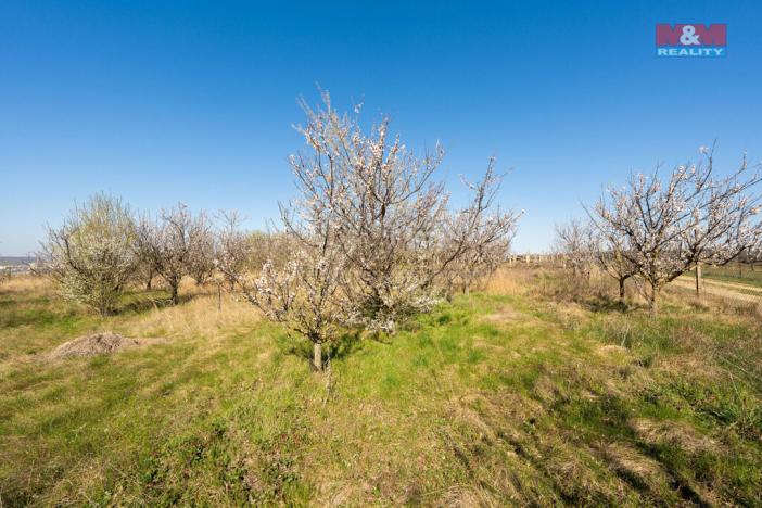 Prodej pozemku pro bydlení, Dobšice, 2462 m2