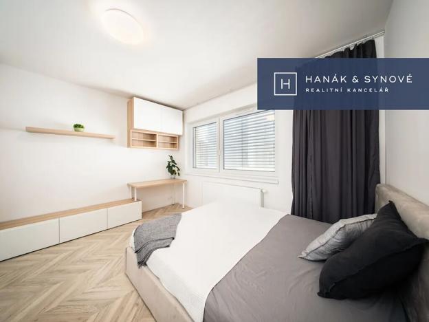 Pronájem bytu 1+kk, Brno, Cejl, 26 m2